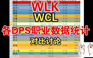 Download Video: WLK-P1到P2DPS对比图文（190-242）