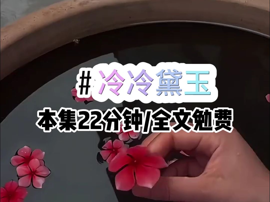 [图]小说推荐  《冷冷黛玉》  第一集