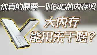 当我买了一对大容量内存，我会用它...但你真的需要大容量内存吗？测评阿斯加特女武神二代6000C30 64G套条内存条