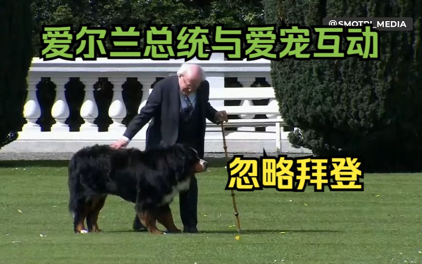 爱尔兰总统与爱犬互动忽略拜登哔哩哔哩bilibili