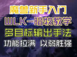 Descargar video: 【魔兽世界】WLK新手暗牧输出教学 暗影法师多线输出 极致伤害