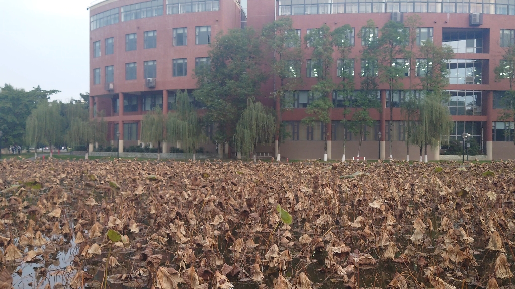 谁懂成都大学今天放call of silence啊,进击的巨人,搭配入秋的伤感,真的绝了.哔哩哔哩bilibili