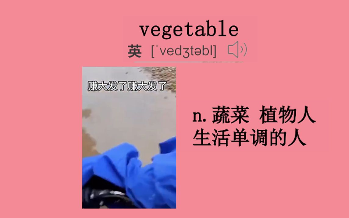 【每日一单词】蔬菜 vegetable哔哩哔哩bilibili