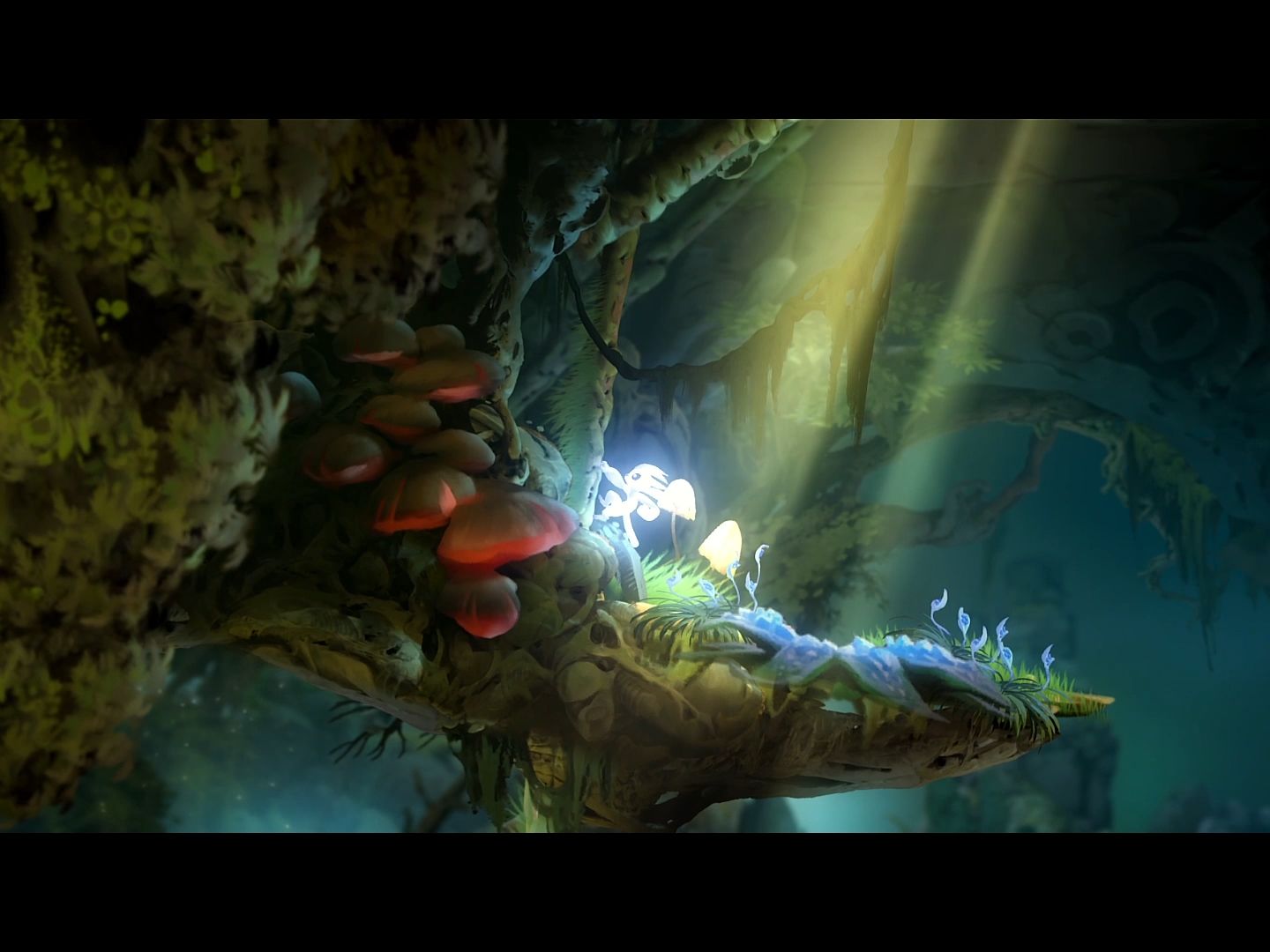 【 奥日2/ori2壁纸 】追逐深处之光