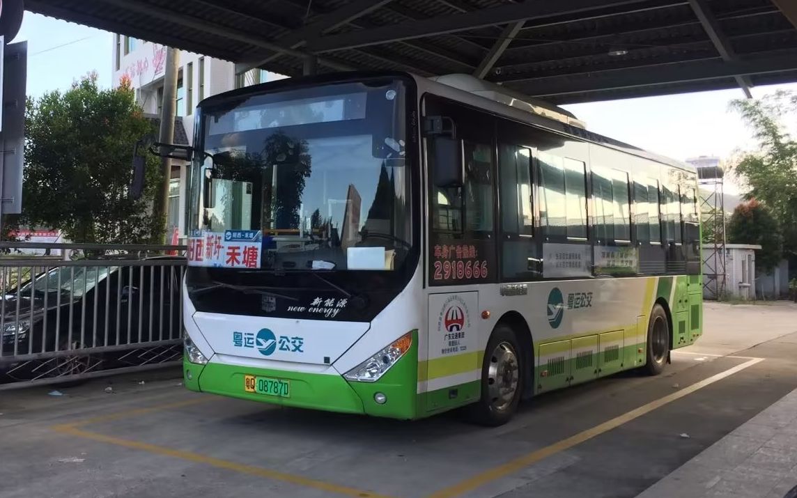 茂名边界的阳西小村—禾塘村 阳江·阳西公交10路 【pov-8】禾塘客运