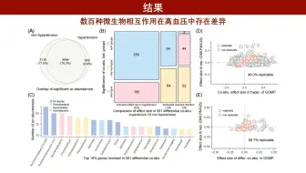 iMeta | 陈连民/孔祥清/何彦等-高血压中的肠道微生物互作