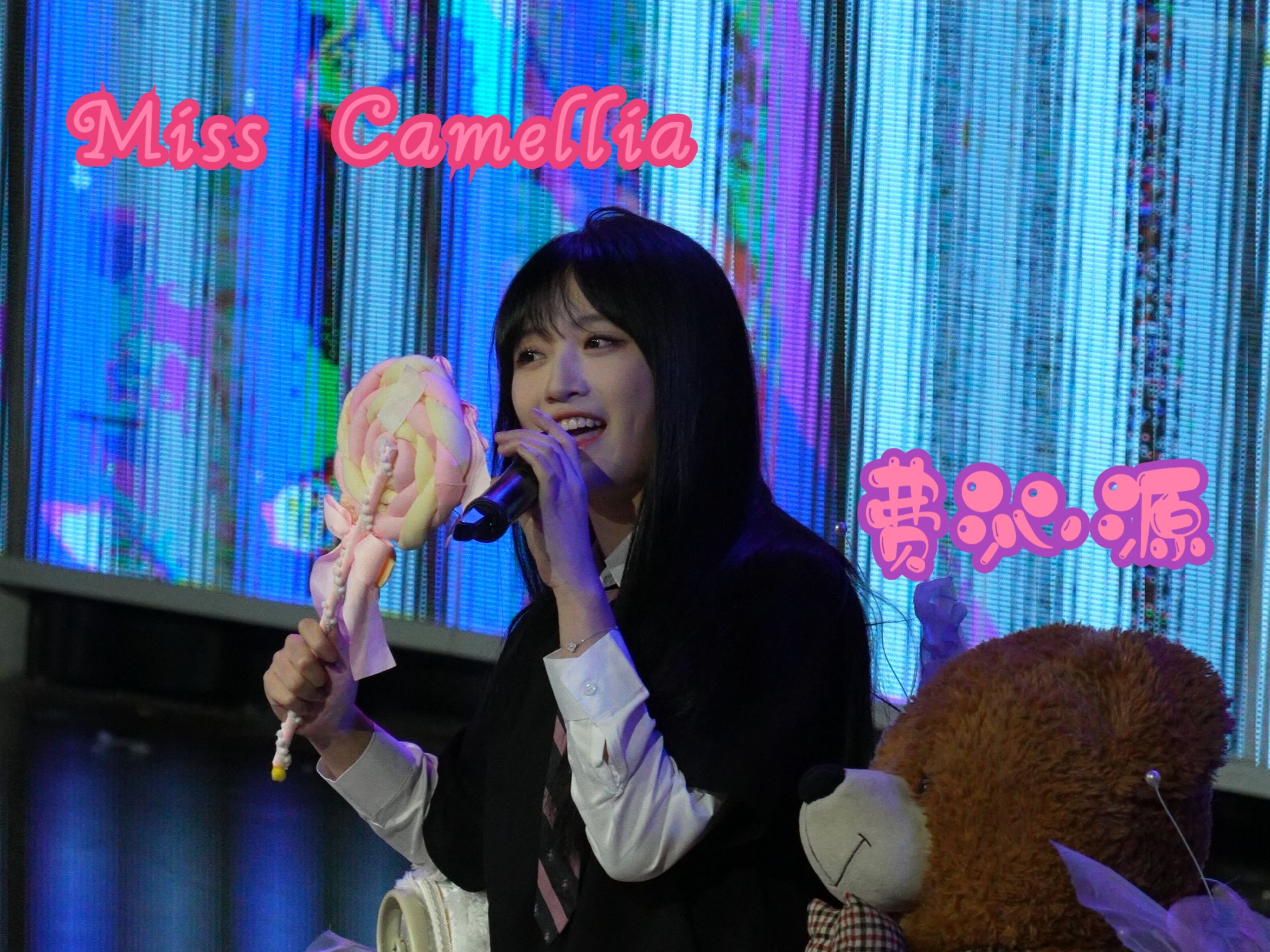 【费沁源】miss camellia