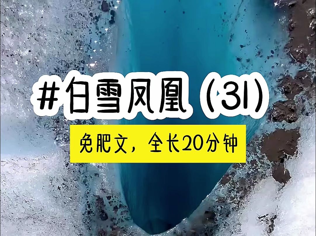 [图]茗《白雪凤凰》第31集