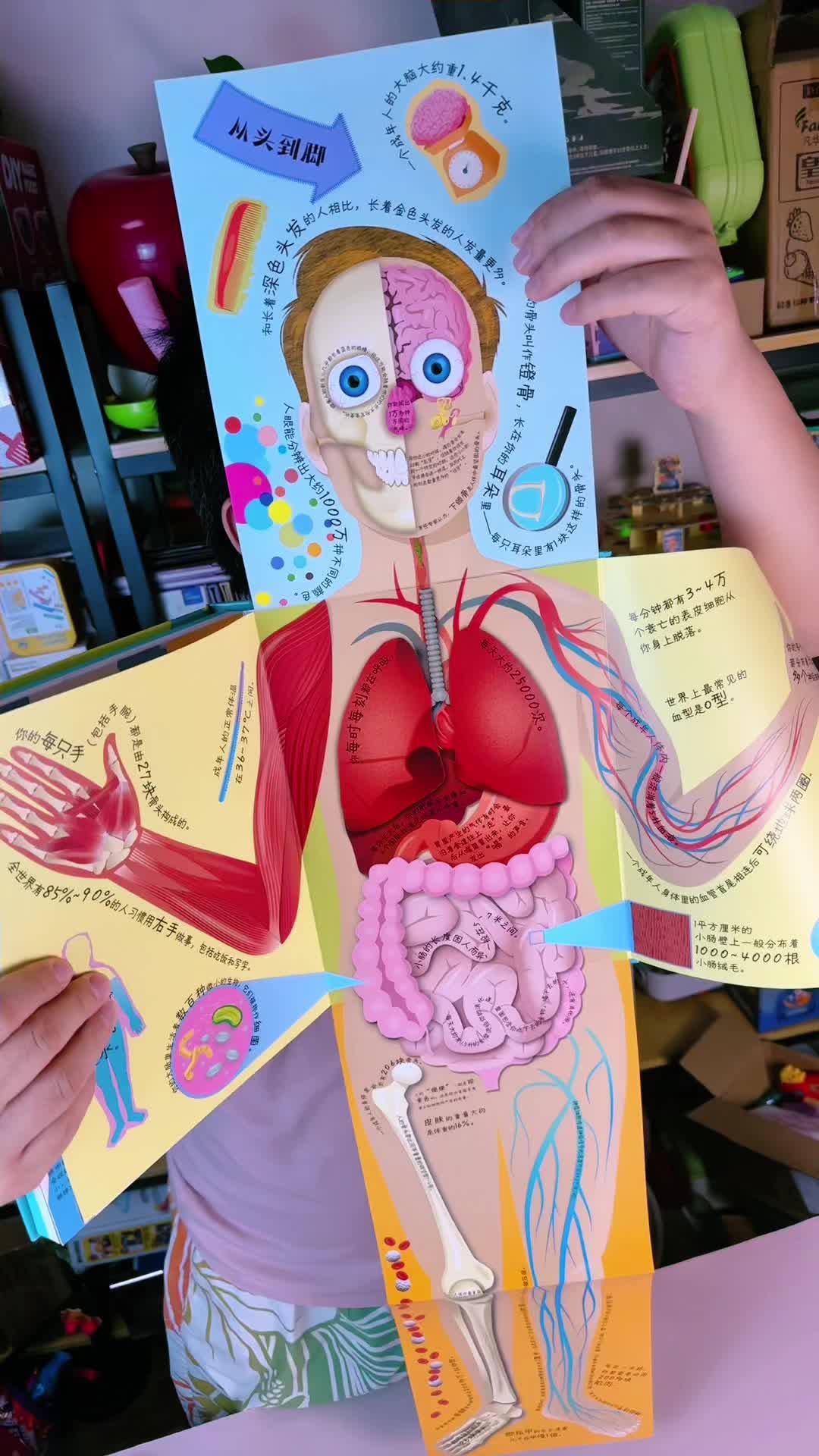 一本书了解我们的身体