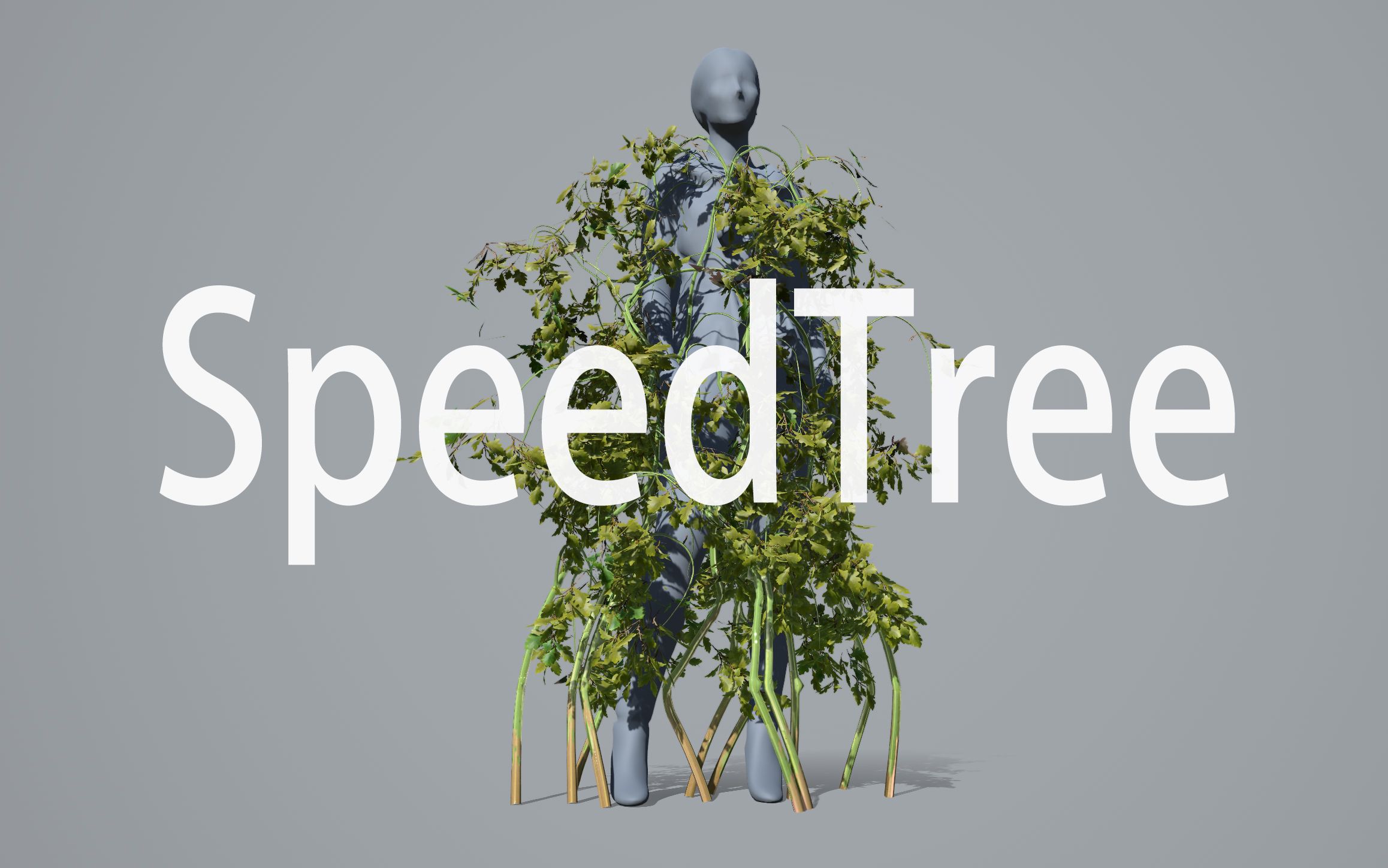 speed tree 软件使用分享第一集哔哩哔哩bilibili