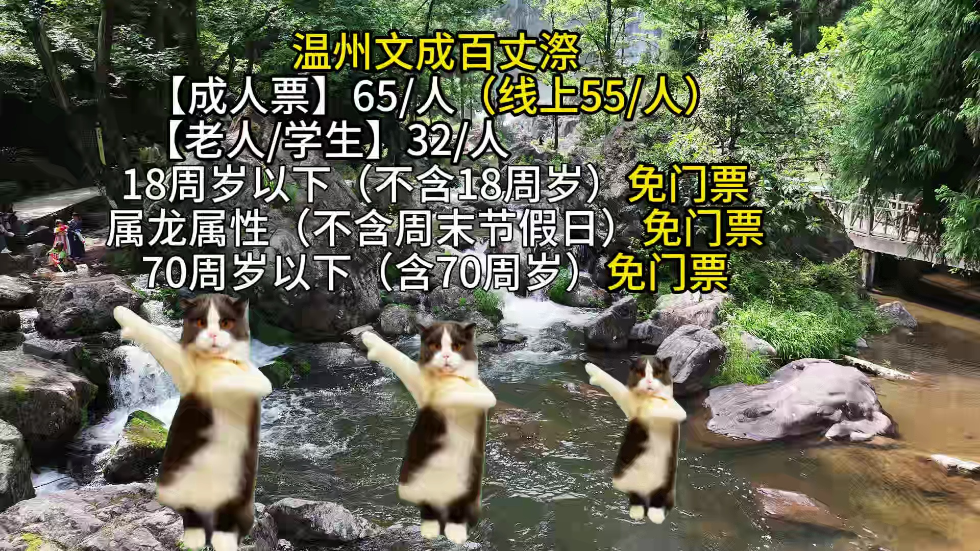 百丈漈瀑布,萌猫带你游