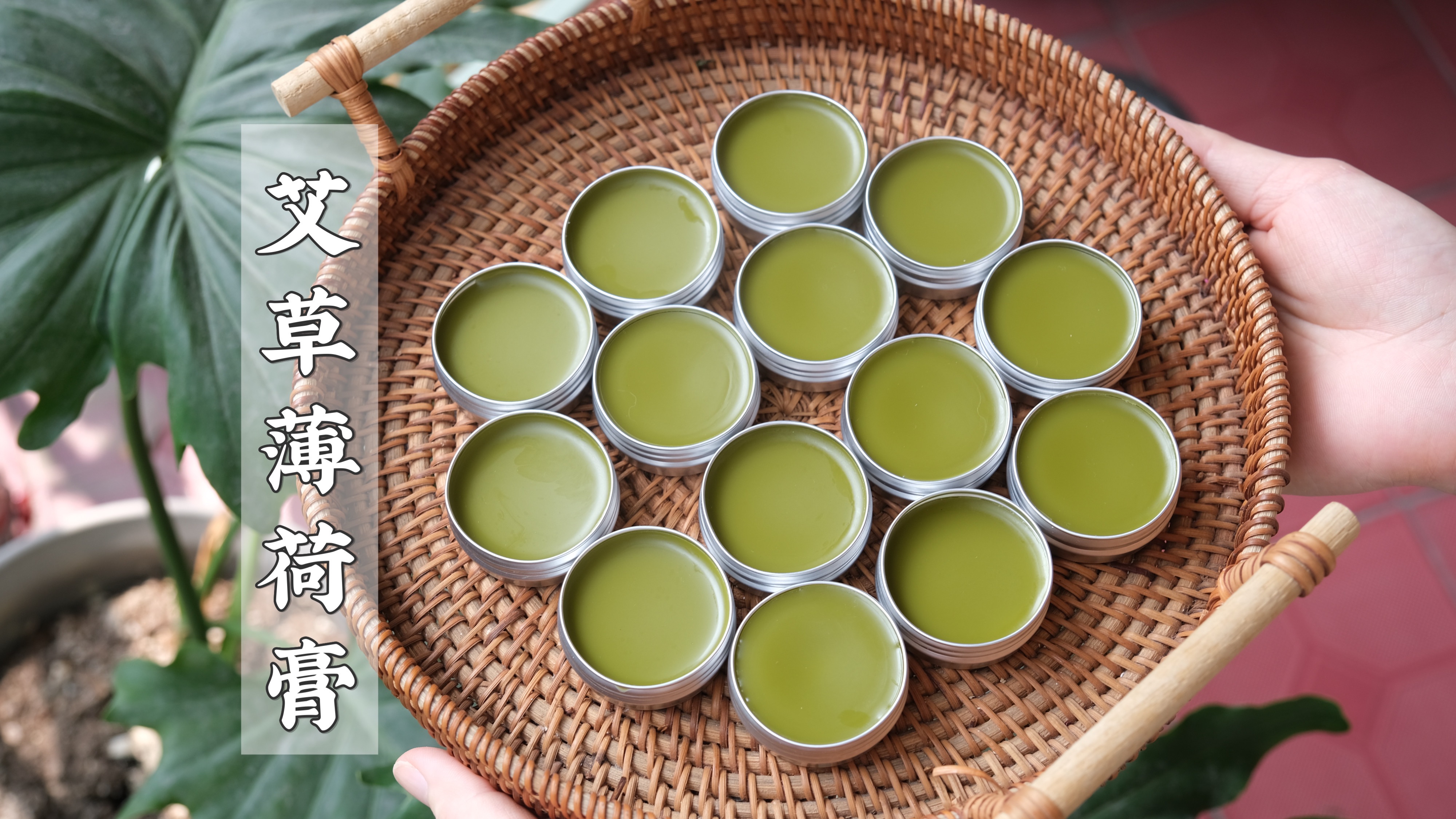 自制天然无添加的艾草薄荷膏,还怕什么蚊虫叮咬呀!