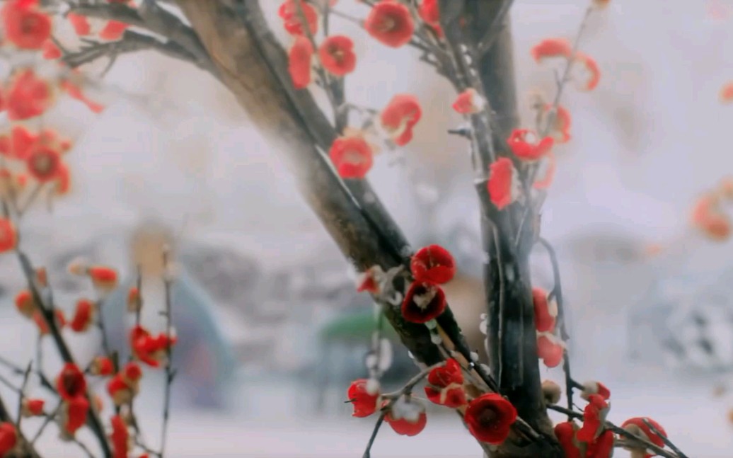 [图]古风空境 桃花诺