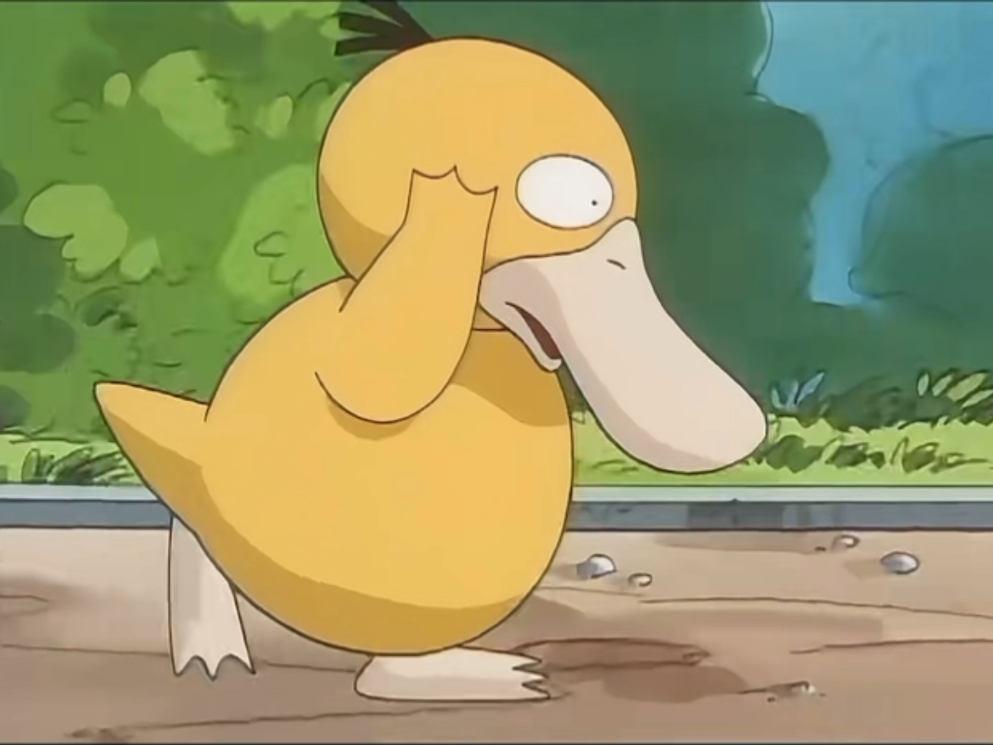 这只可达鸭有很强的自我管理能力哦!