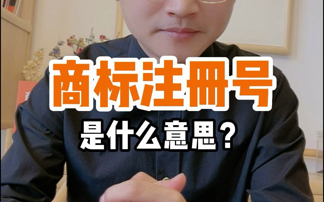 商标注册号是什么意思?哔哩哔哩bilibili