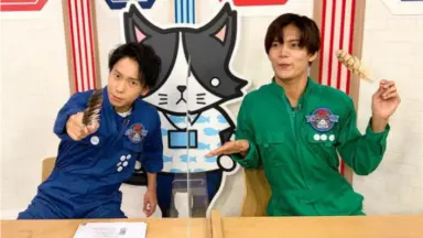 猫のひたいほどワイド-哔哩哔哩_Bilibili
