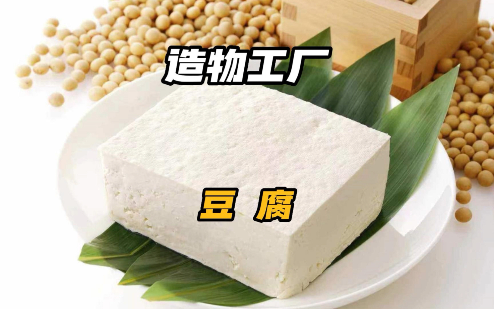 手工豆腐的纯手工制作过程哔哩哔哩bilibili