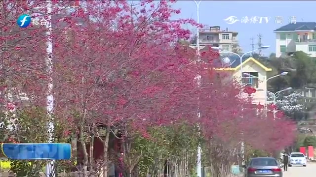 [图]【福建莆田】又是一年赏花时 花粉过敏需警惕（福建综合频道《午间新时空》栏目 2019年3月1日）