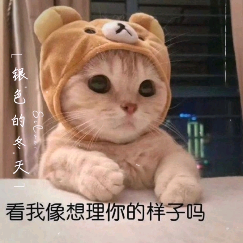 冬日表情包11哔哩哔哩bilibili