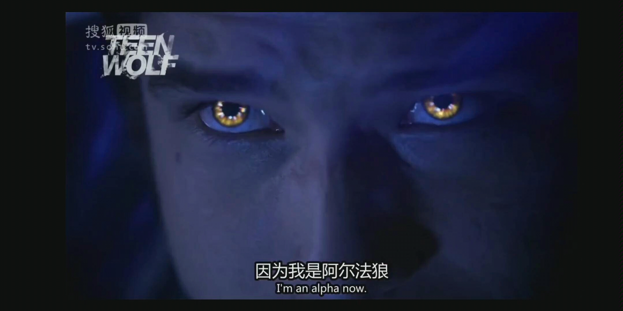 【少狼】报丧女妖,请一定要想起他,他爱你.