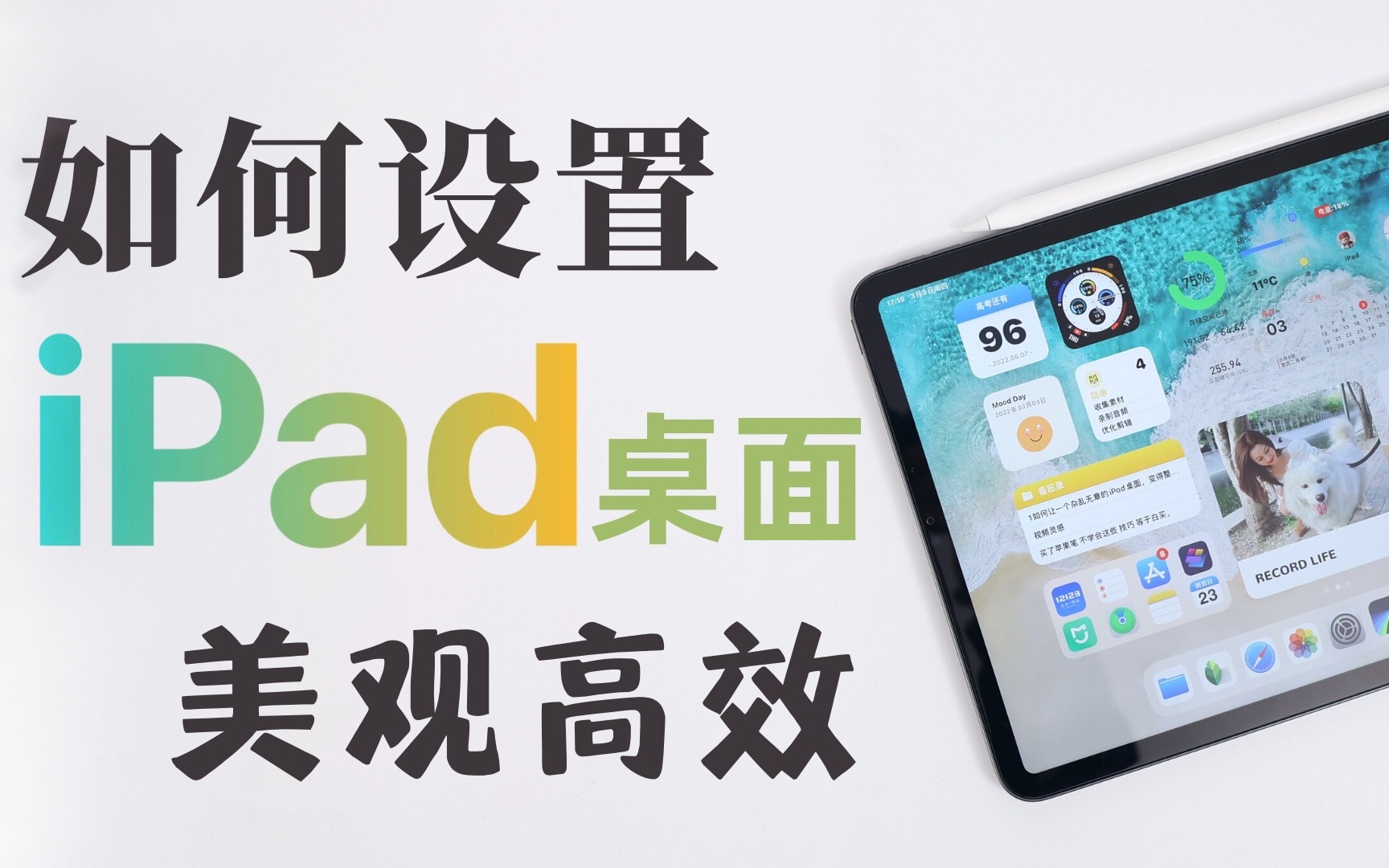 iPad桌面设置教程|高效实用的小技巧