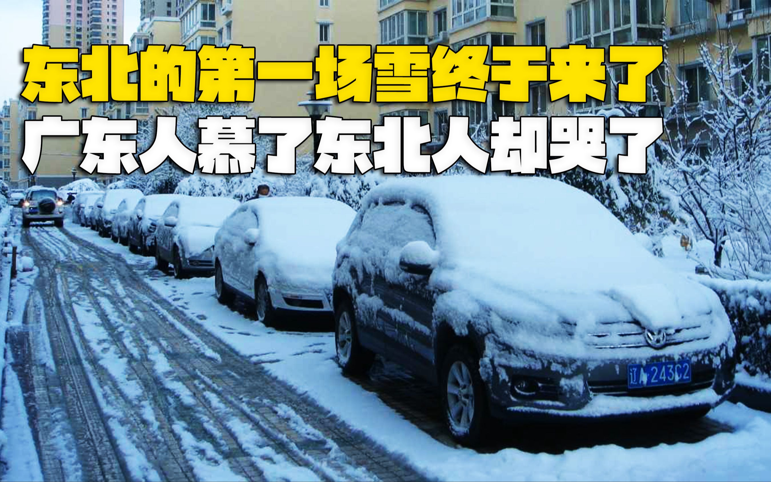 [图]东北暴雪，广东人慕了东北人却哭了，冻雨灾害究竟有多可怕？