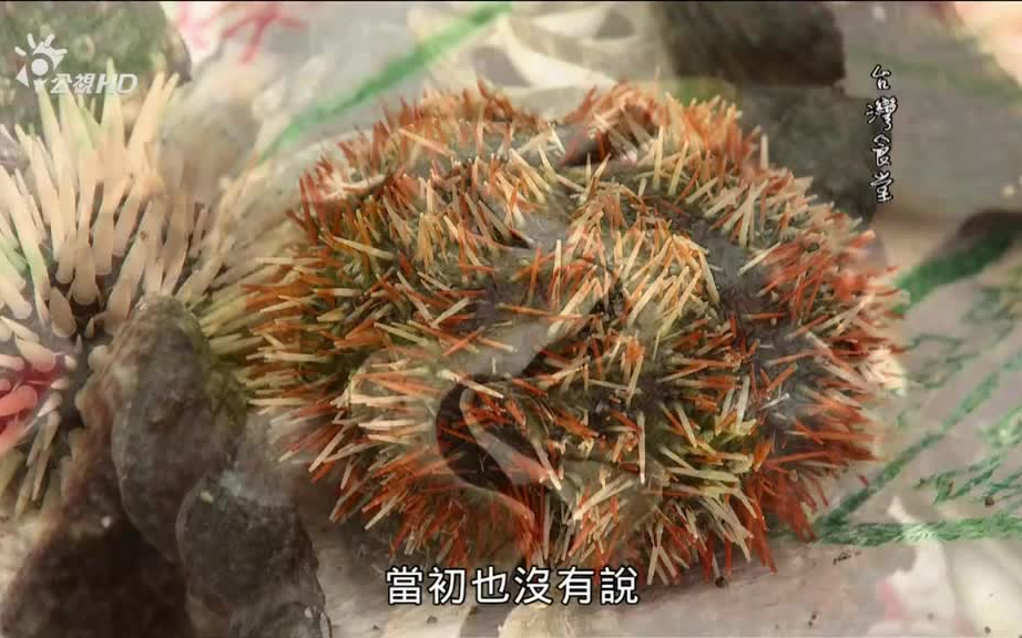 [图]记录丨美食丨台湾食堂