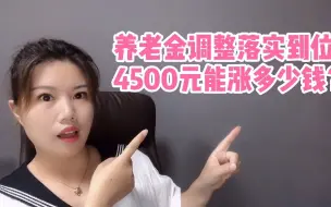 Download Video: 养老金调整落实到位，退休工资4500元能涨多少钱？一起来看看吧