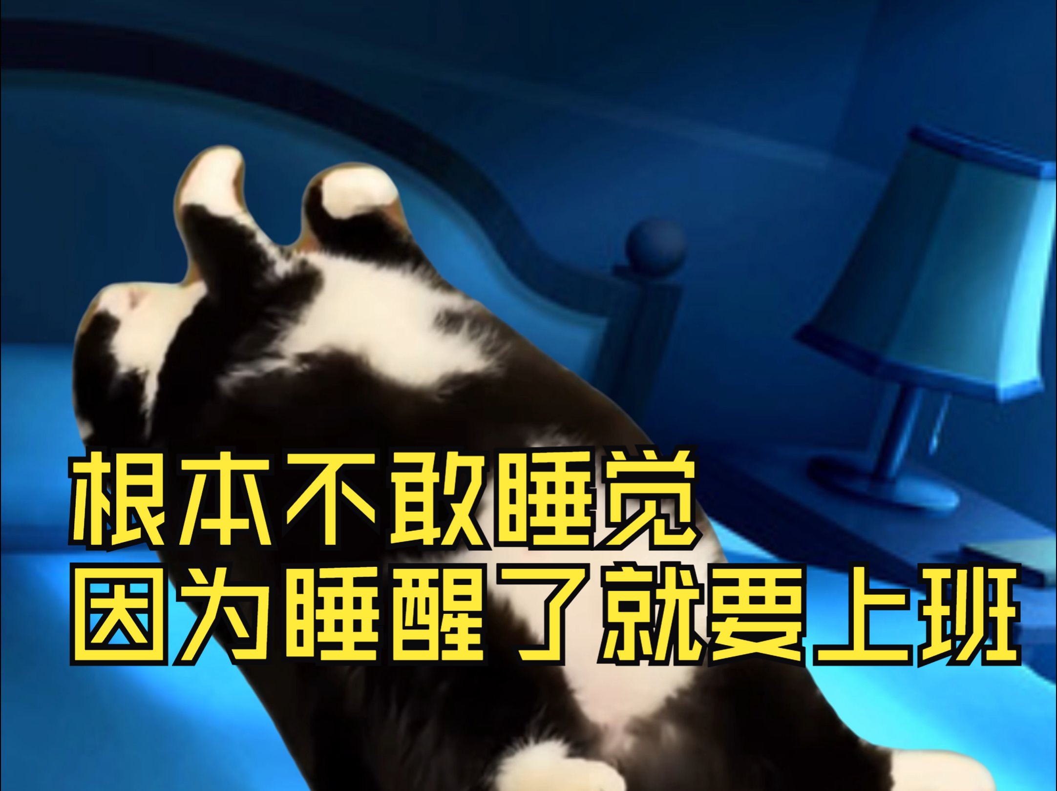【猫meme动画】 根本不敢睡觉 因为睡醒了就要上班