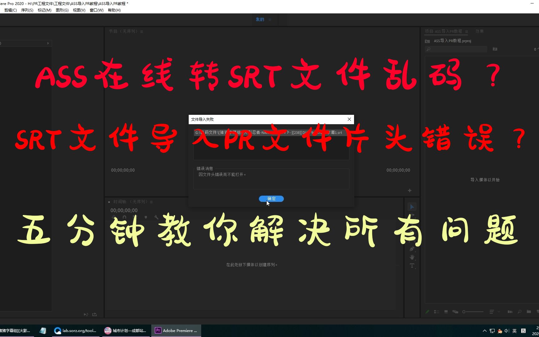 ASS在线转SRT乱码?SRT导入PR片头错误?五分钟教会你一整套程序!哔哩哔哩bilibili