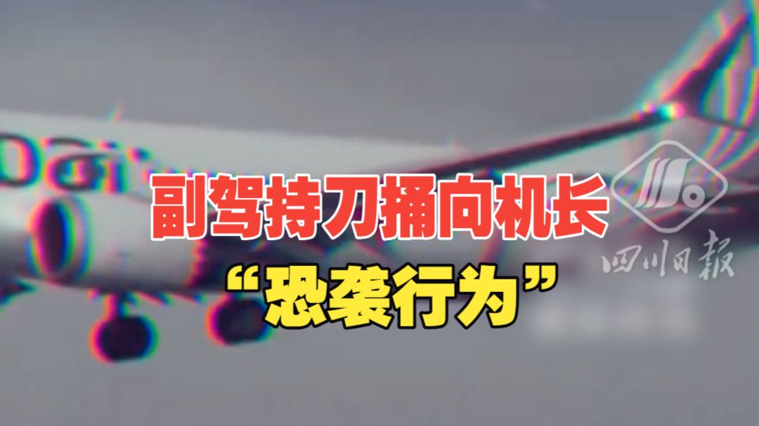 副驾持刀捅向机长，阿联酋总统顾问称迪拜航空驾驶舱冲突系“恐袭”