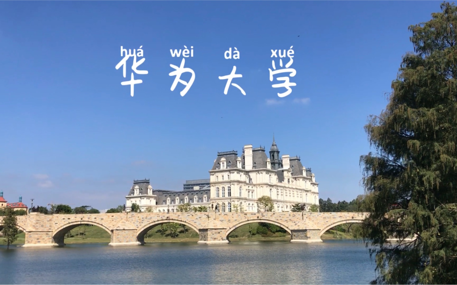 女孩第一次来华为大学,这场景惊呆了!