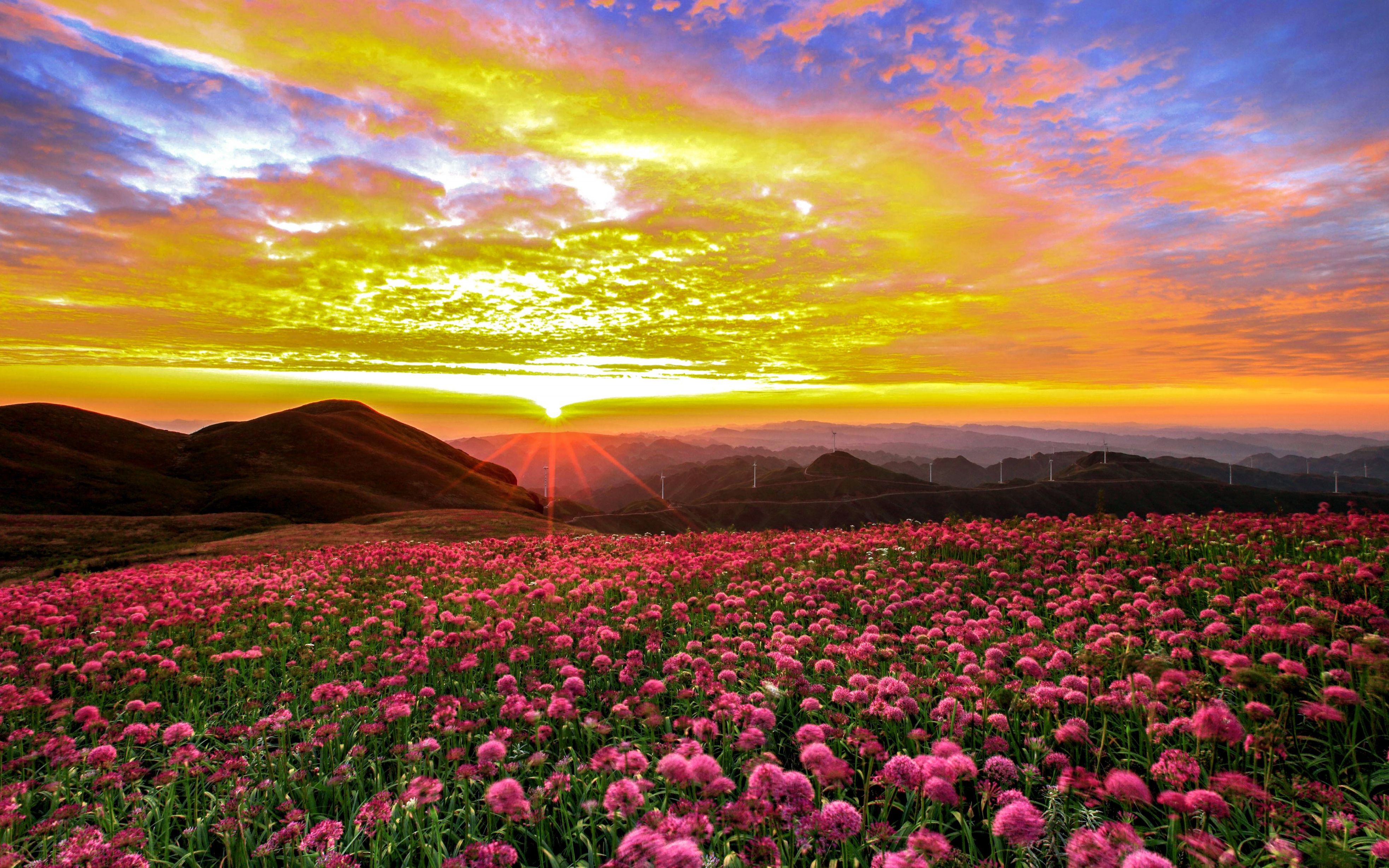 风景这边独好!这是贵州最高的城市——毕节