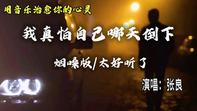 [图]我真怕自己哪天倒下（动态谱）一首不敢唱、却又在偷偷学唱的歌