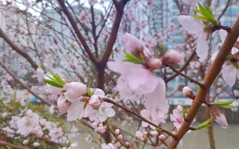 直面城市的喧嚣,在心里搭建一方天地哔哩哔哩bilibili