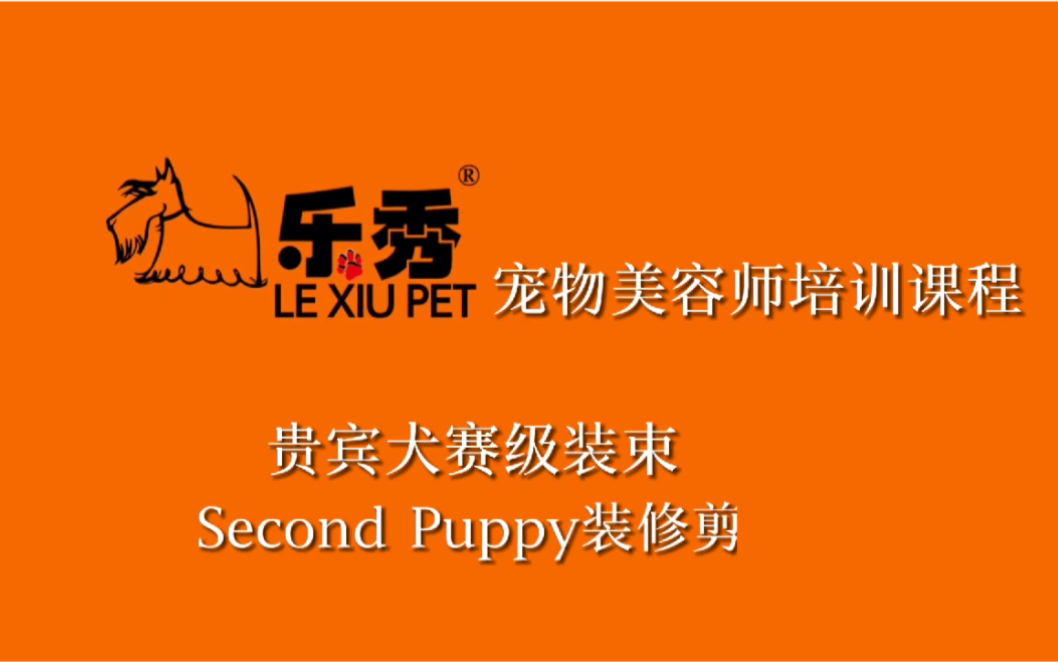 [图]宠物美容师培训课程-贵宾犬Second Puppy装修剪演示