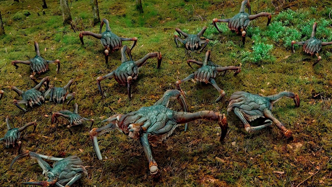 现实生活中的猎头蟹 #2