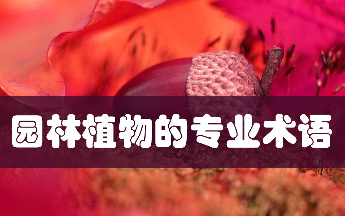 9园林植物的专业术语哔哩哔哩bilibili