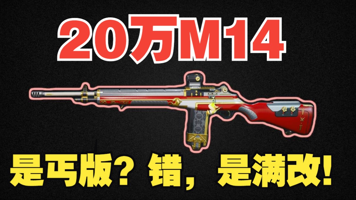 烧火棍M14最好使用者