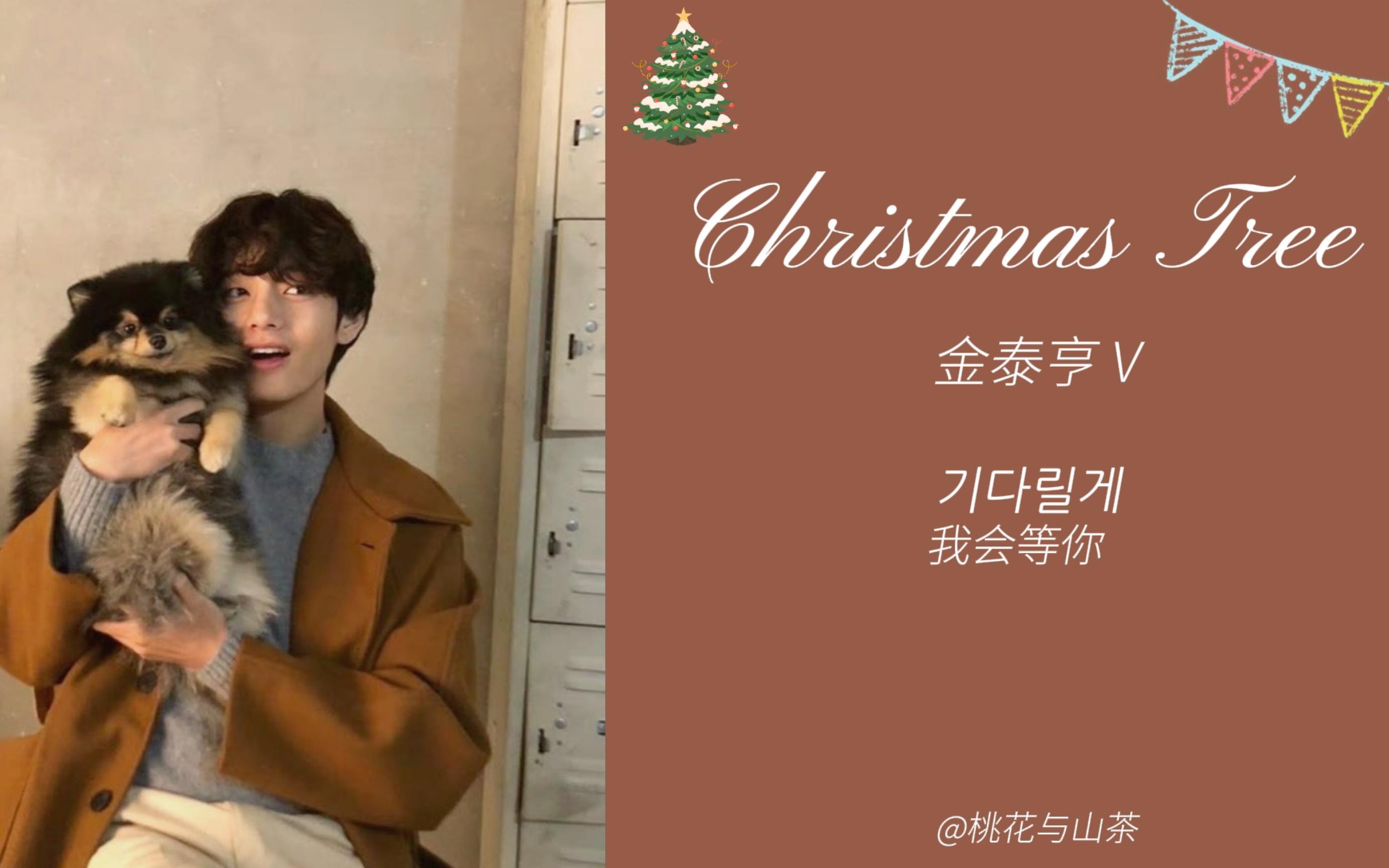 [图]【双语中字】金泰亨OST《Christmas Tree》：韩剧《那年我们》