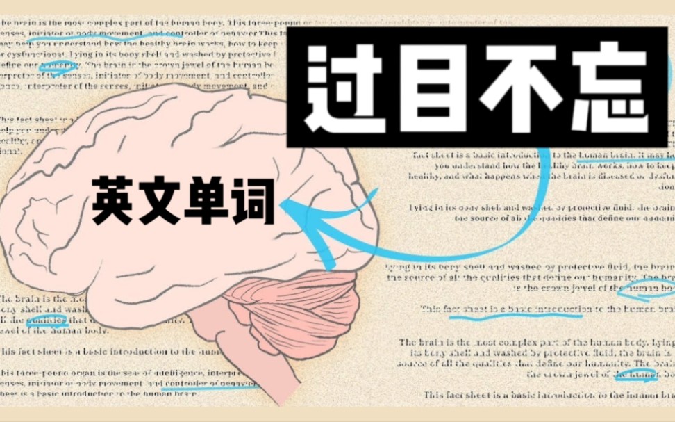 并不是你的记忆力不够好,只是不会用科学的方法记忆英文单词!哔哩哔哩bilibili