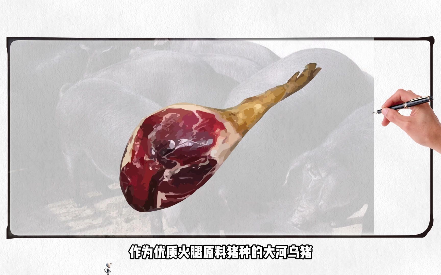 销量可观的大河乌猪