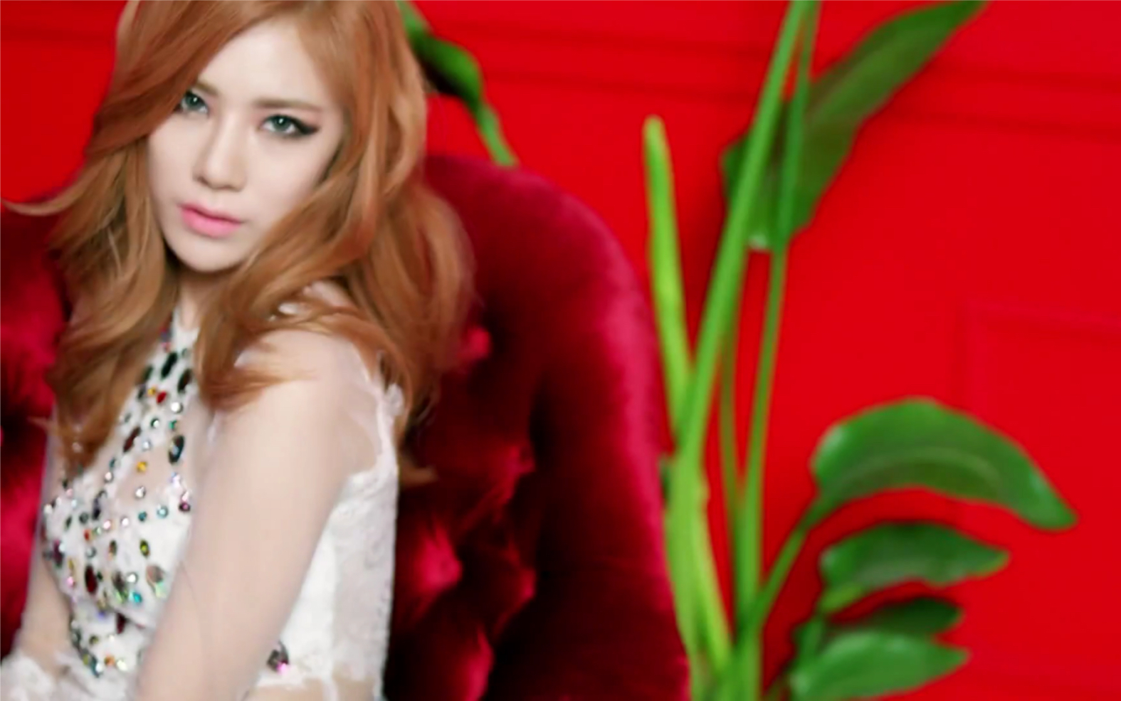 stellarvibrato预告版1