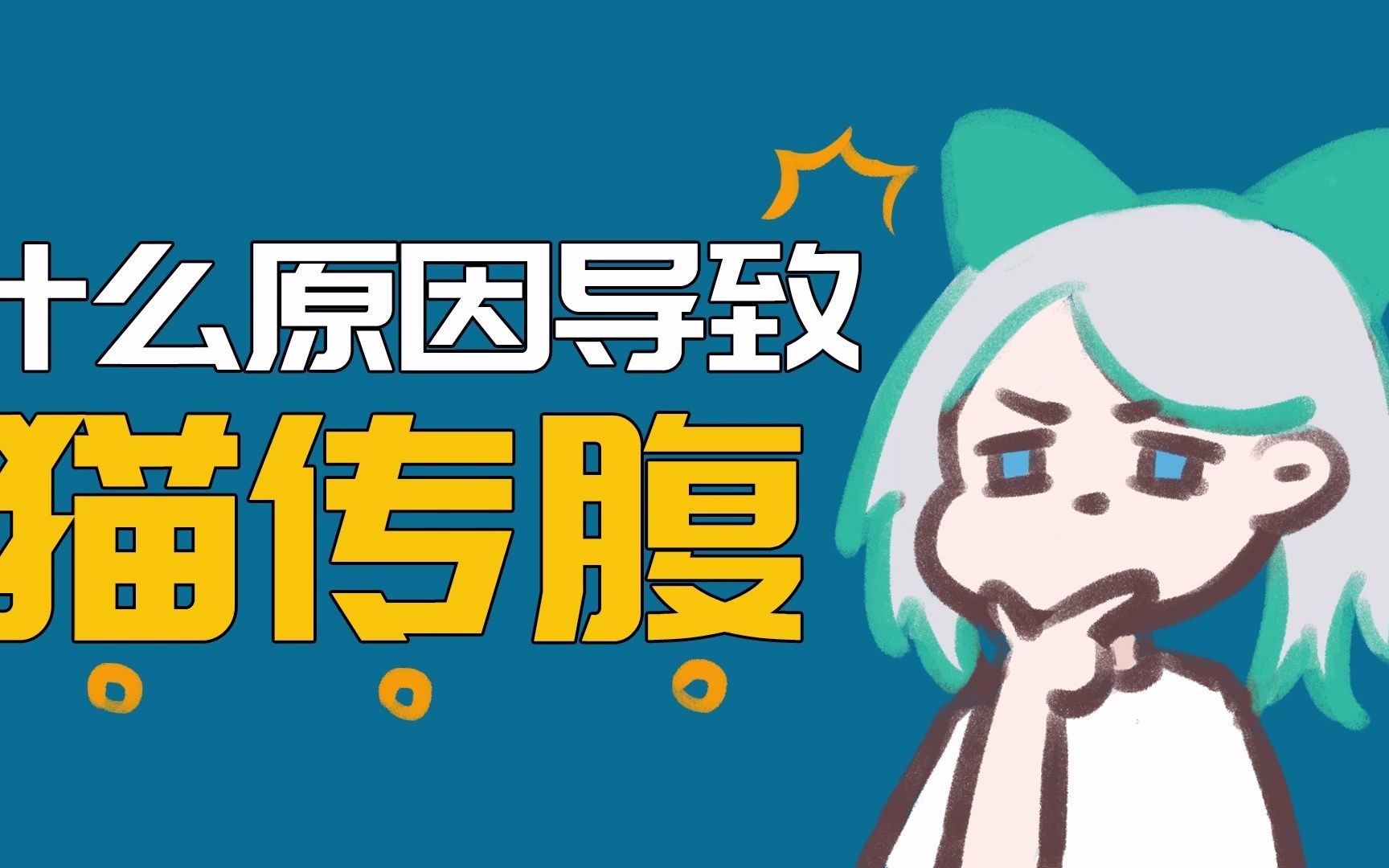 究竟是什么原因导致猫咪患上猫传腹?哔哩哔哩bilibili