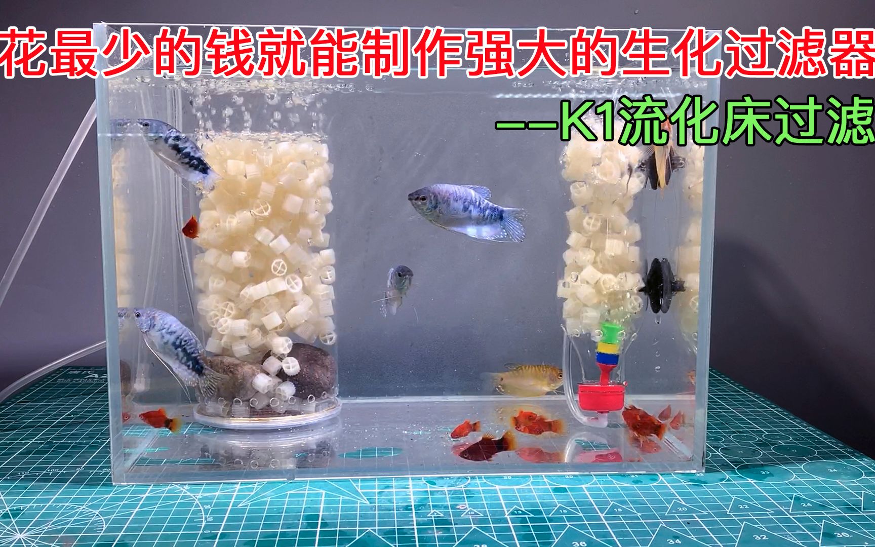 最简单的方法制作基本不用钱却又强大的生化过滤器——K1流化床过滤#bilibili新星计划#哔哩哔哩bilibili