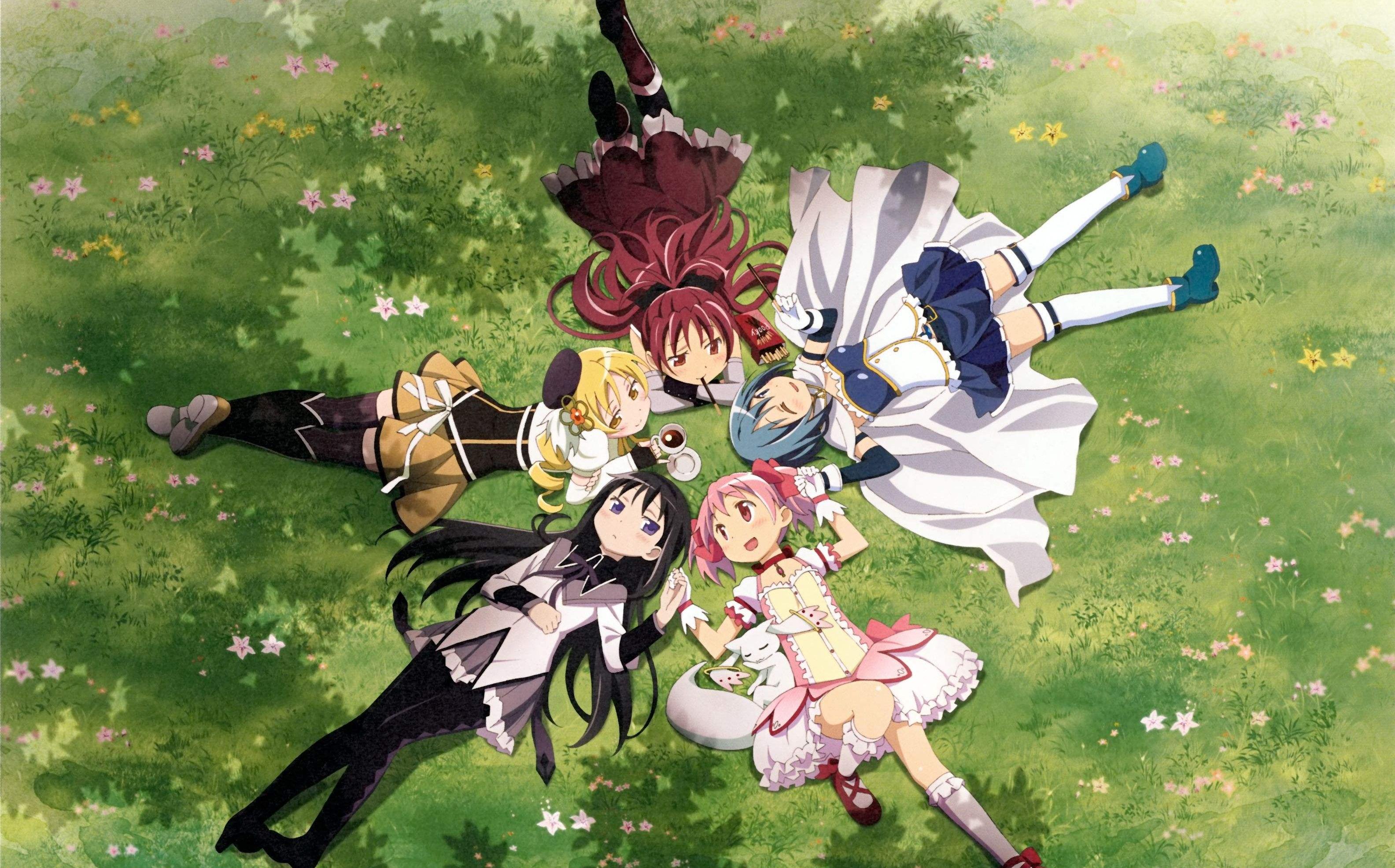 "希望与绝望共生的叛逆物语"【魔法少女小圆/剧情向/mad.amv】