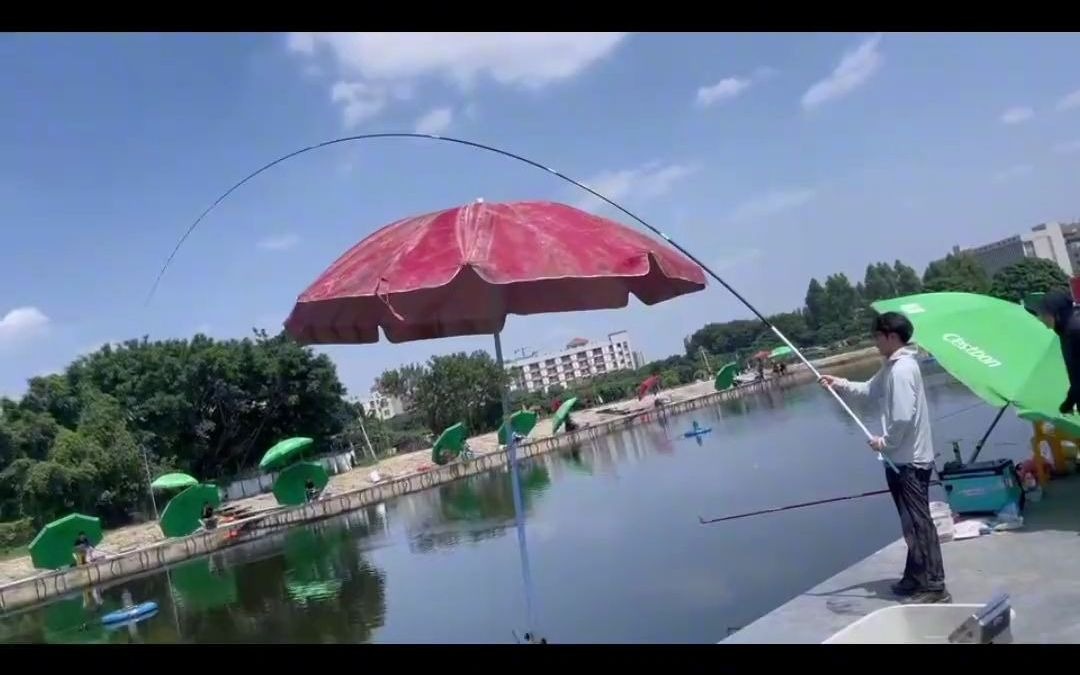 荒武技拿捏巨型鲢鳙#原来钓鱼才是抖音运动顶流 #铭扬鲢鳙巨物塘
