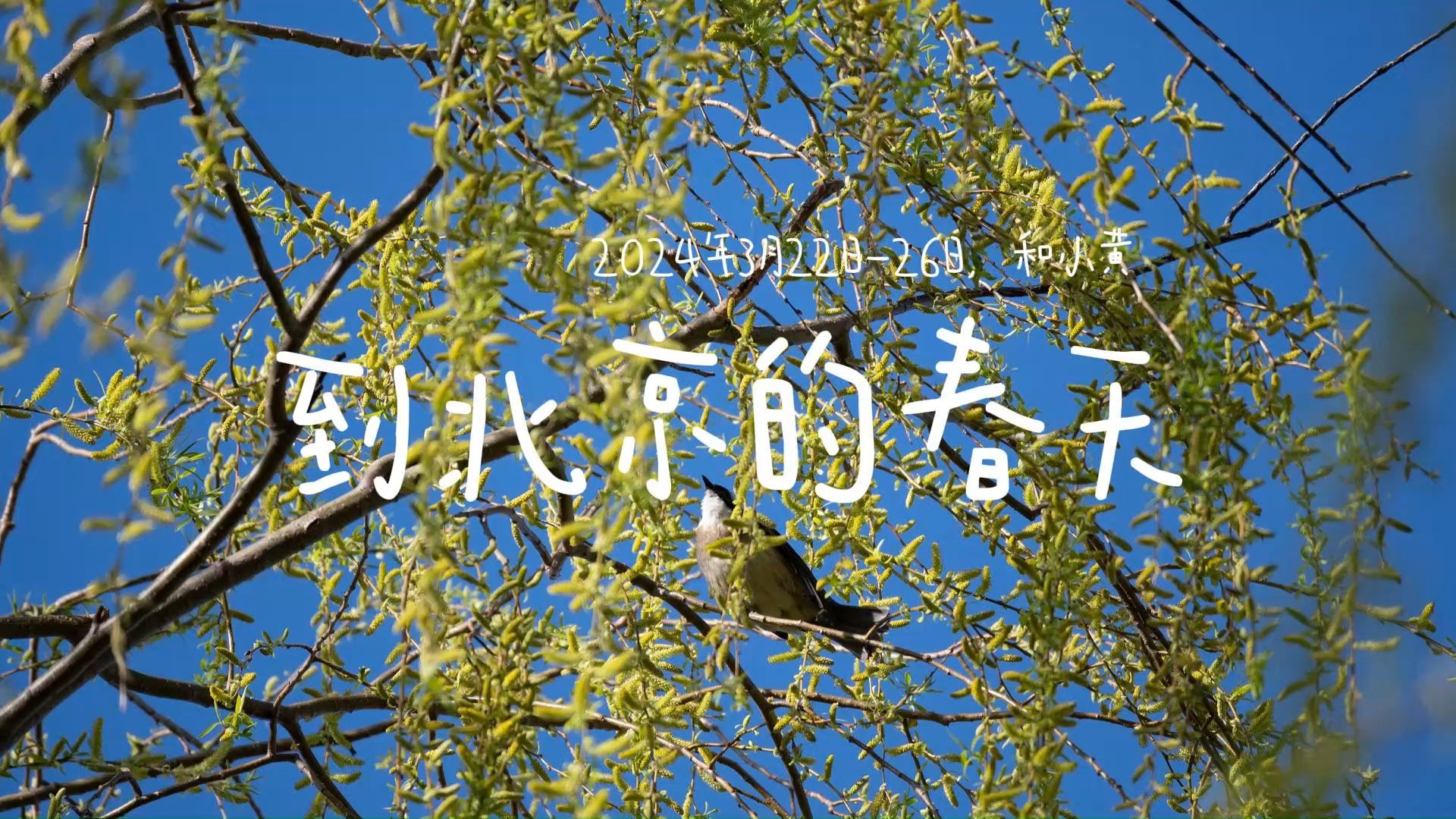 到北京的春天