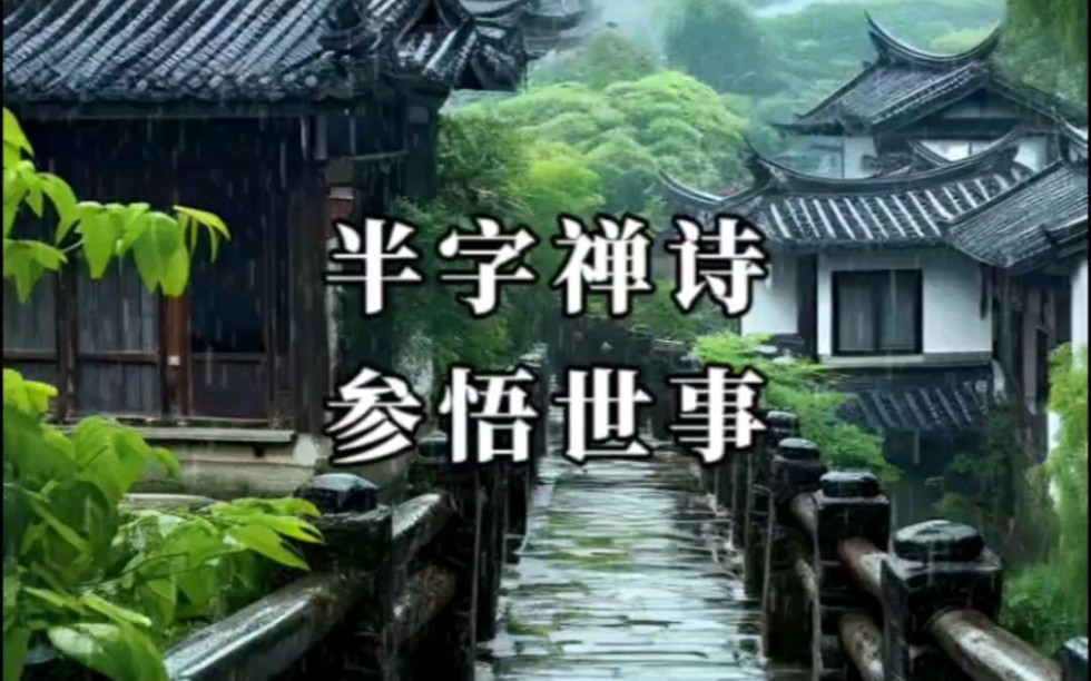 半字禅诗,参悟世事-浅悦文化-浅悦文化-哔哩哔哩视频