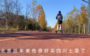 Télécharger la video: 我们在北京的川菜生活 辣子鸡丁 蒜茸粉丝娃娃菜